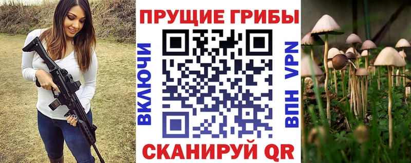 купить   hydra зеркало  Псилоцибиновые грибы Magic Shrooms  Озёрск 
